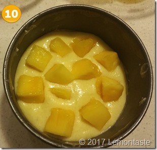 mango10